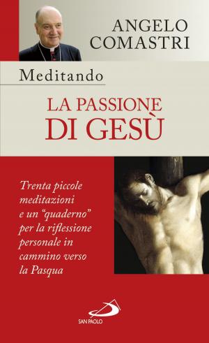Book cover of Meditando la Passione di Gesù