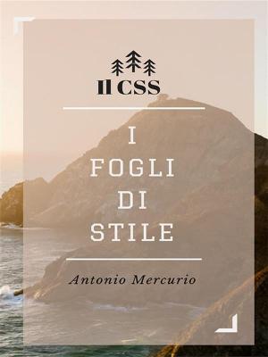 Cover of the book I fondamentali del CSS con accenni al CSS3 by Generale Pompilio Schiarini