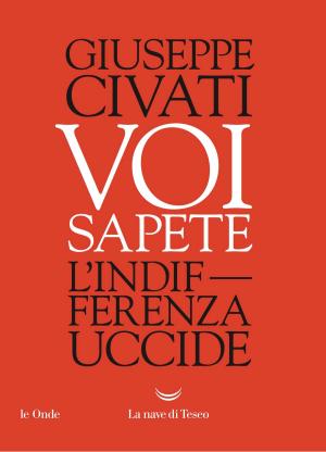 Cover of the book Voi sapete by Guido Maria Brera, Edoardo Nesi