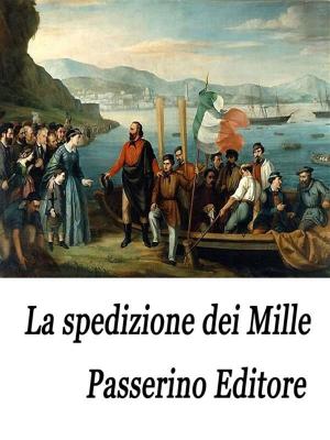 Cover of the book La spedizione dei Mille by Giancarlo Busacca