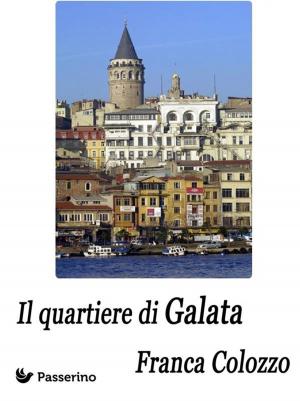 Cover of the book Il quartiere di Galata by Marcello Colozzo