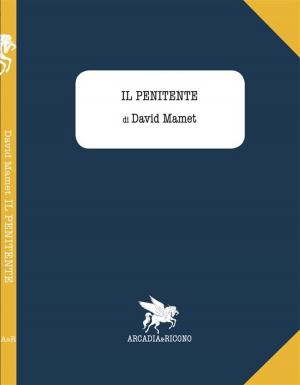 Book cover of Il penitente
