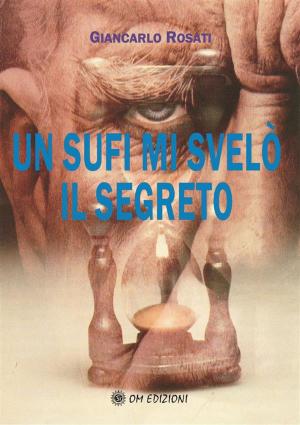 Cover of the book Un Sufi mi svelò il segreto by Danu Forest