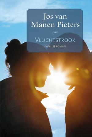 Cover of the book Vluchtstrook by Hans Stolp