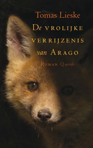 Cover of the book De vrolijke verrijzenis van Arago by Elfie Tromp