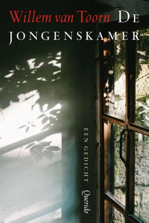 Cover of the book De jongenskamer by Nadine Ahr
