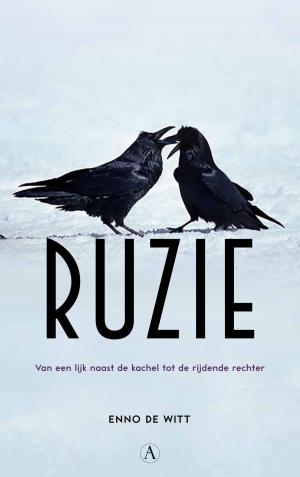Cover of the book Ruzie by Lucas de Waard