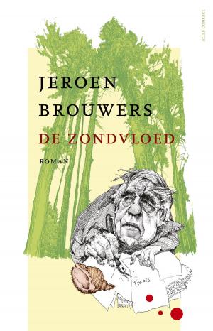 Cover of the book De zondvloed by Wouter Godijn