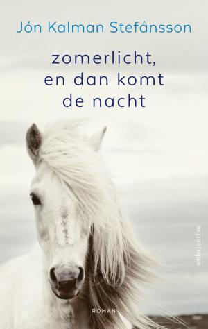 Cover of the book Zomerlicht, en dan komt de nacht by Gilda  Salinas