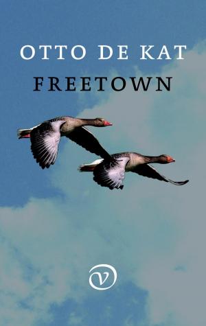 Cover of the book Freetown by Sherwood Anderson, Nele Ysebaert