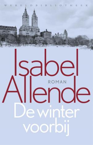 Cover of De winter voorbij