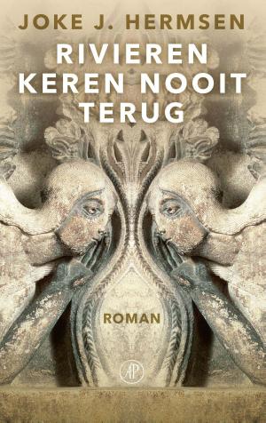 Cover of the book Rivieren keren nooit terug by Anders de la Motte