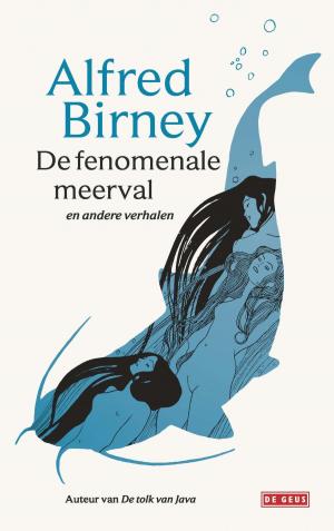 Cover of the book De fenomenale meerval by Arthur Japin