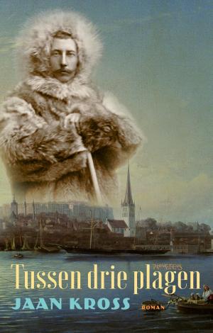 Cover of the book Tussen drie plagen by Joke Hermsen