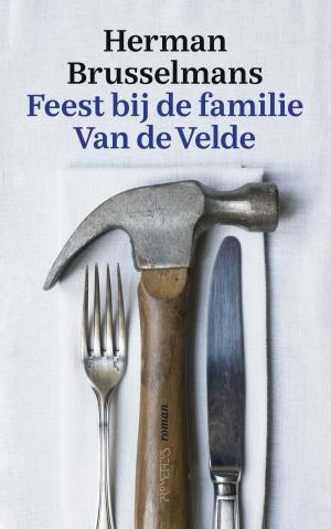 Cover of the book Feest bij de familie Van de Velde by Jan Guillou