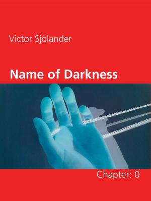 Cover of the book Name of Darkness by Heinrich Heine