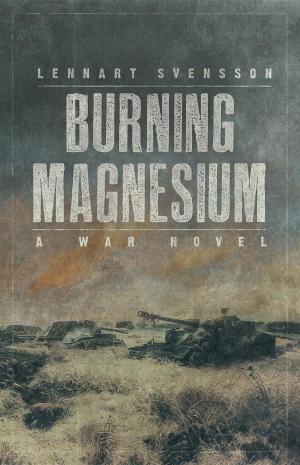 Cover of the book Burning Magnesium by Christopher Goodrum