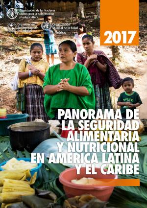 Cover of the book Panorama de la seguridad alimentaria y nutricional en América Latina y el Caribe 2017 by United Nations