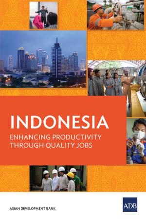 Cover of the book Indonesia by Cielito Habito