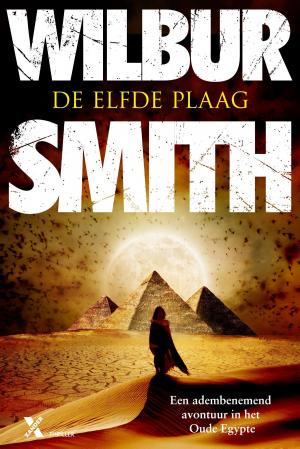 Cover of the book De elfde plaag by Robert Simpson