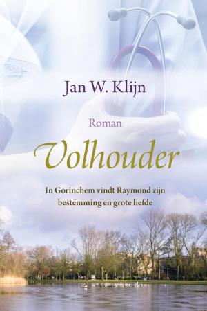 Cover of the book Volhouder by Niki Smit