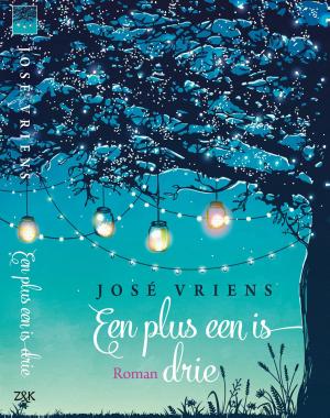 Cover of the book Een plus een is drie by Laura Frantz