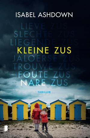 Cover of the book Kleine zus by Erika Johansen