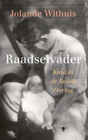 Cover of the book Raadselvader by Rutger Bregman