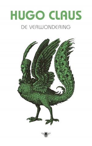 Cover of the book De Verwondering by Robert Harris