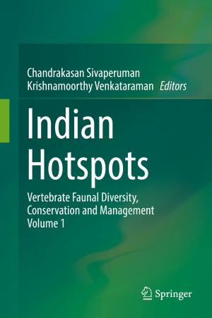 Cover of the book Indian Hotspots by Saburou Saitoh, Yoshihiro Sawano