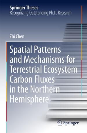Cover of the book Spatial Patterns and Mechanisms for Terrestrial Ecosystem Carbon Fluxes in the Northern Hemisphere by Rongxing Guo