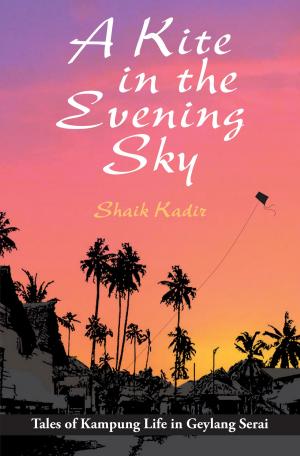 Cover of the book A Kite in the Evening Sky by Taylor, Shirley; Altieri, Tina; Hansen, Heather; Wade, Tim; Kassova, Maria; Pang, Li Kin; Goldwich, David; Lester, Alison; Preez, Tremaine du