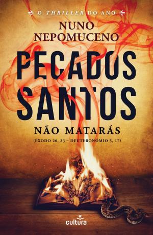 bigCover of the book Pecados Santos by 