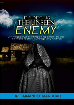 bigCover of the book Dislodging The Unseen Enemy by 