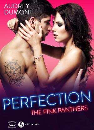 Cover of the book Perfection The Pink Panthers by Lucie F. June