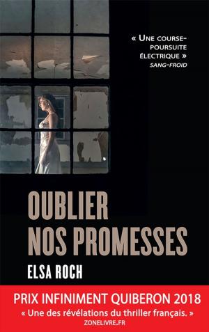 Cover of the book Oublier nos promesses by Angélique Barbérat