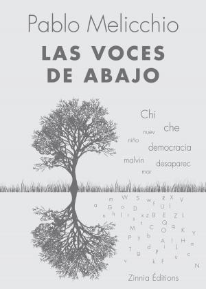 Cover of the book Las voces de abajo by Monette Michaels