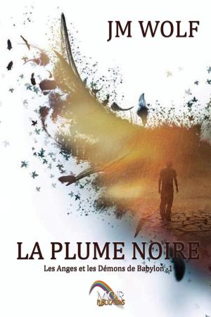 Cover of La Plume Noire