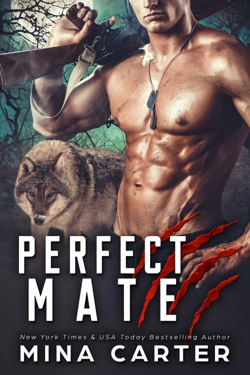 Cover of the book Perfect Mate by Mina Carter, Mina Carter