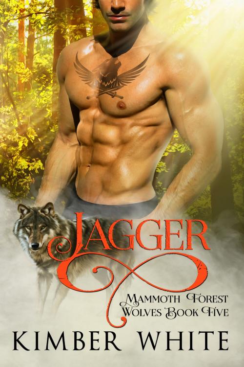 Cover of the book Jagger by Kimber White, Nokay Press LLC