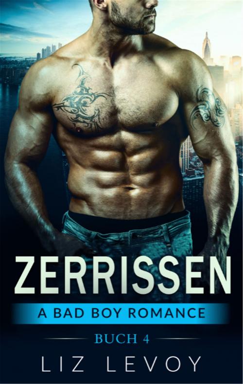 Cover of the book Zerrissen 4 by Liz Levoy, Dao Press LLC