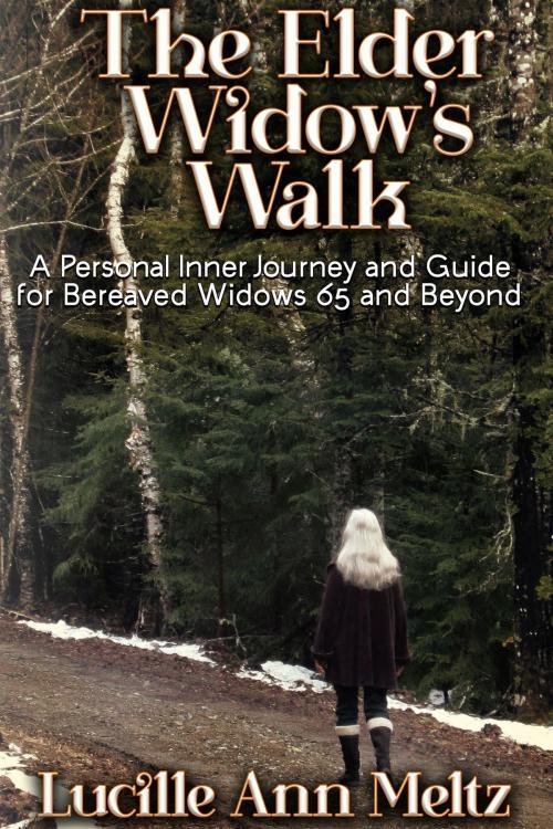 Cover of the book The Elder Widow's Walk by Lucille Ann Meltz, Sabia