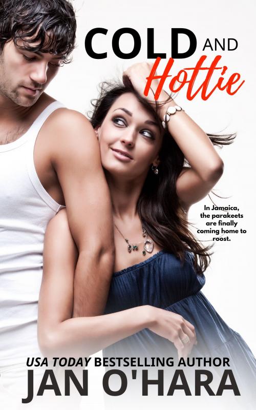 Cover of the book Cold and Hottie by Jan O'Hara, Tartitude Publishing