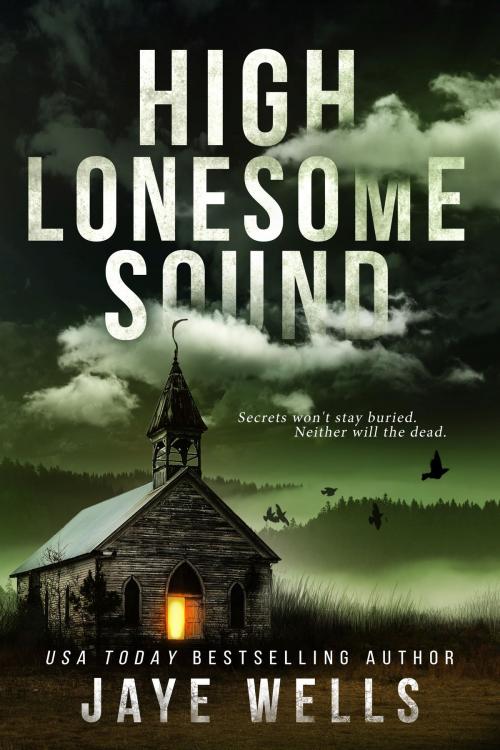 Cover of the book High Lonesome Sound by Jaye Wells, Jaye Wells