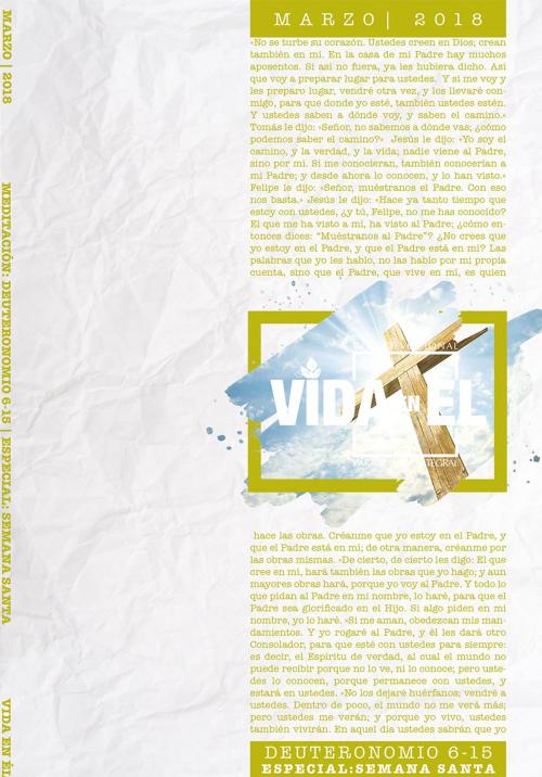 Cover of the book Vida en Él by Editorial Vida a las Naciones, Gabriela Tijerina, Editorial Vida a las Naciones
