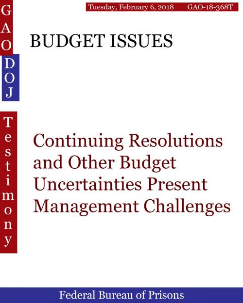 Cover of the book BUDGET ISSUES by Hugues Dumont, Hugues DUMONT