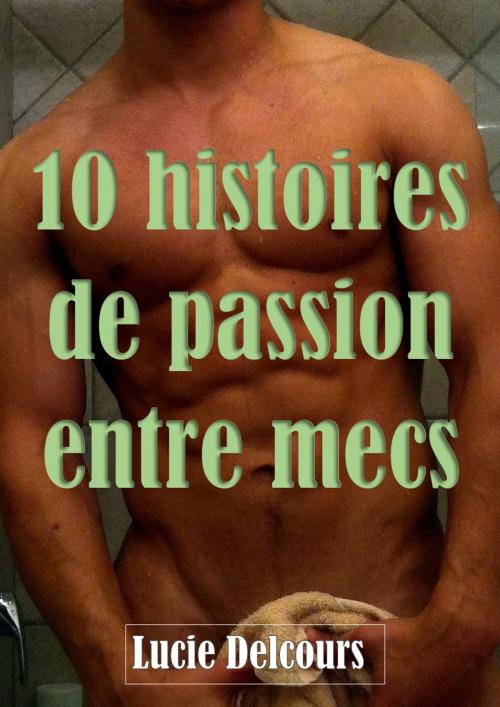 Cover of the book 10 histoires de passions entre mecs by Lucie Delcours, LD Edition