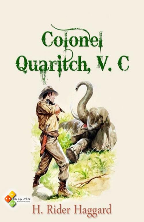 Cover of the book Colonel Quaritch, V.C. by Henry Rider Haggard, Bay Bay Online Books