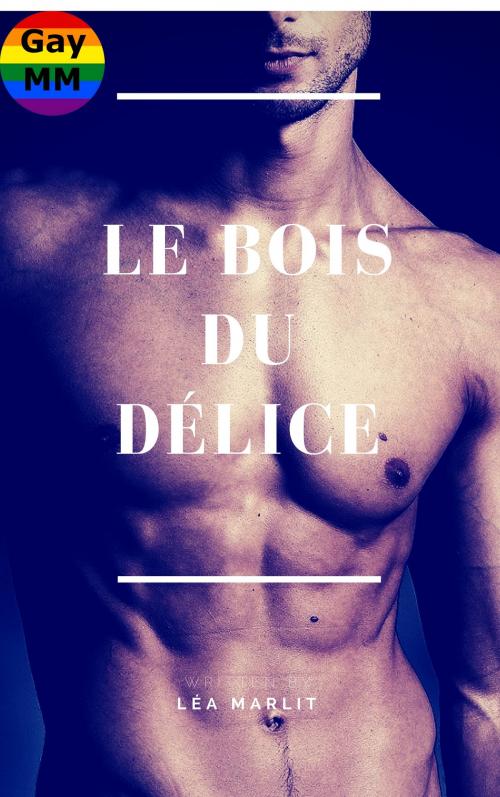 Cover of the book Le bois du délice by Léa Marlit, LM Edition