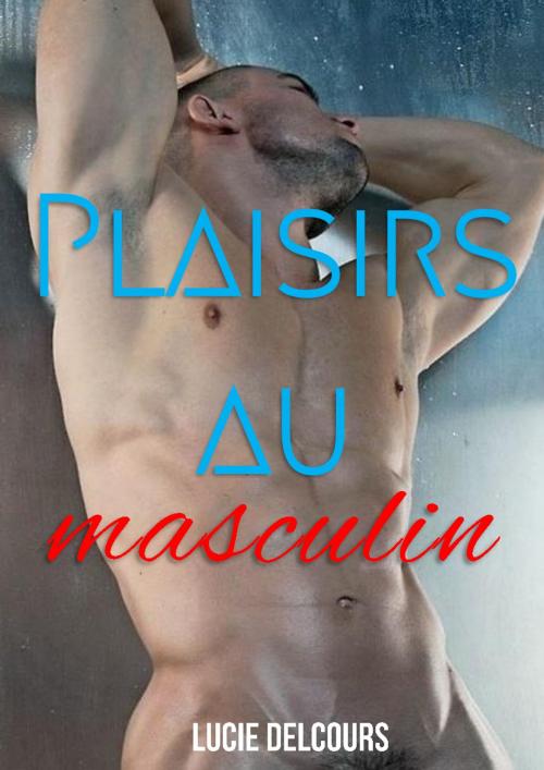 Cover of the book Plaisirs au masculin (5 histoires) by Lucie Delcours, LD Edition